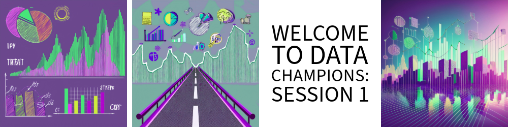 banner welcome to data champions
